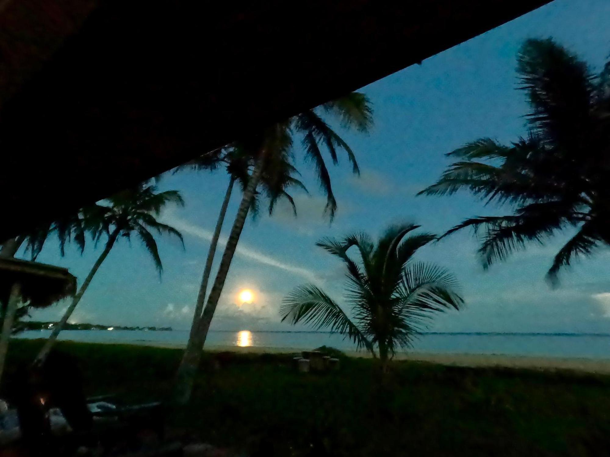 Coconut Castle At La Lodge At Long Bay South End المظهر الخارجي الصورة